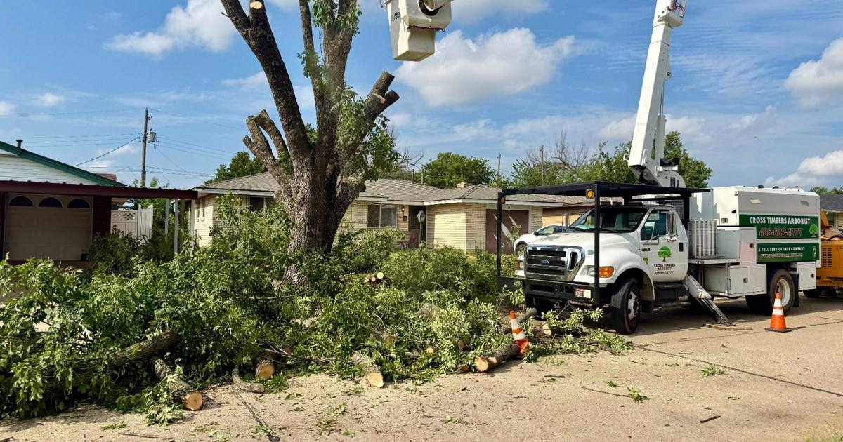 Cross Timbers Arborist